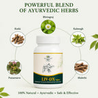 LIV-DX Liver Support Tablets